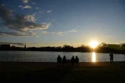 DSC_7150 (Large).JPG